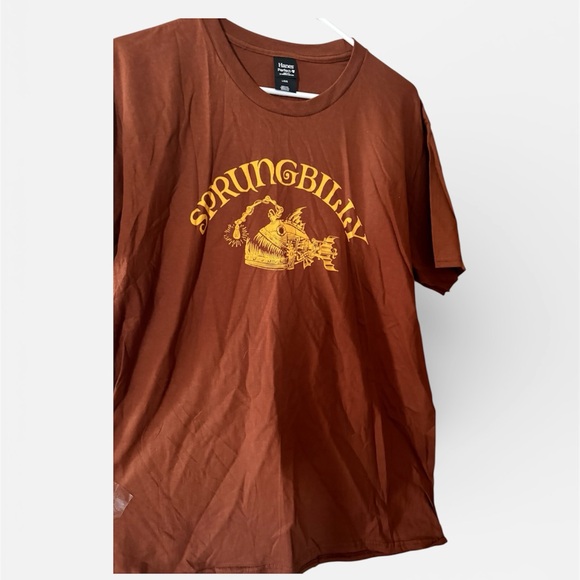 "Sprungbilly" Bluegrass Band Brown Hanes Graphic T-Shirt L - Picture 4 of 5
